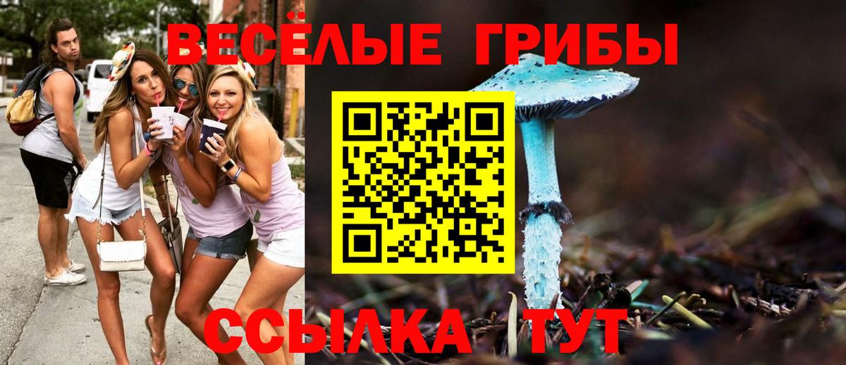 Галлюциногенные грибы Cubensis Лиски